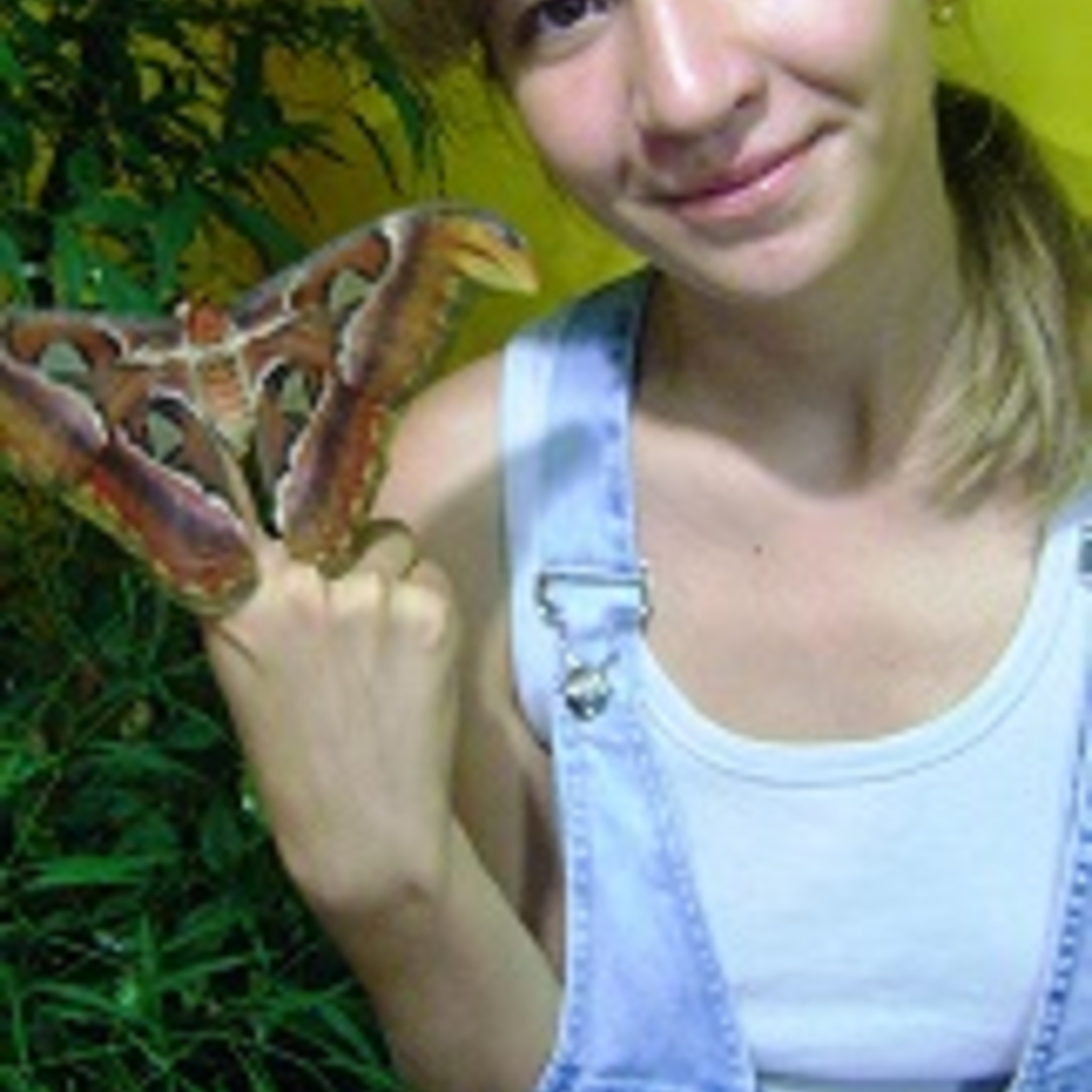 The exhibition Garden of live tropical butterflies